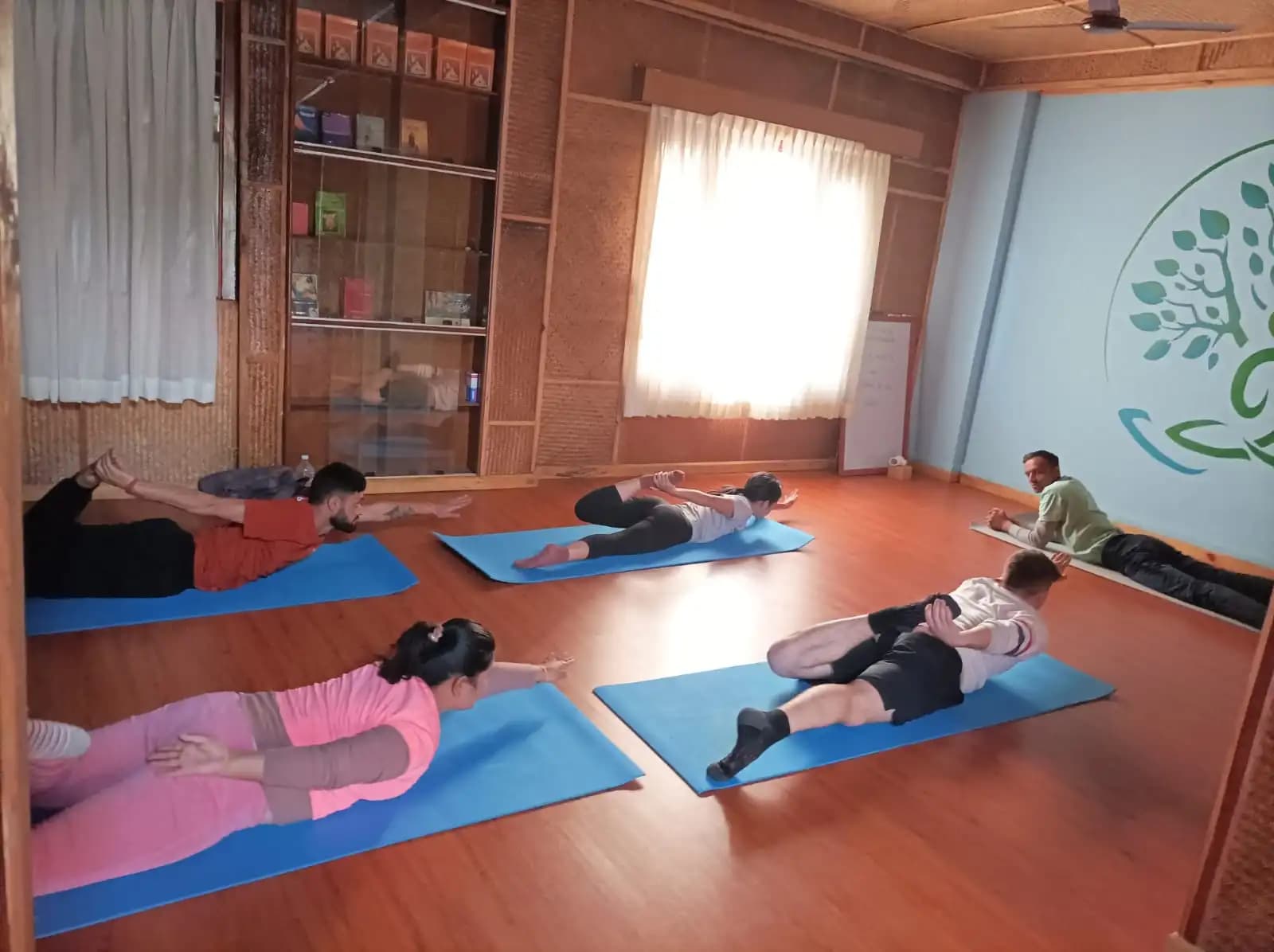 300 Hour Yoga Teacher Trainings