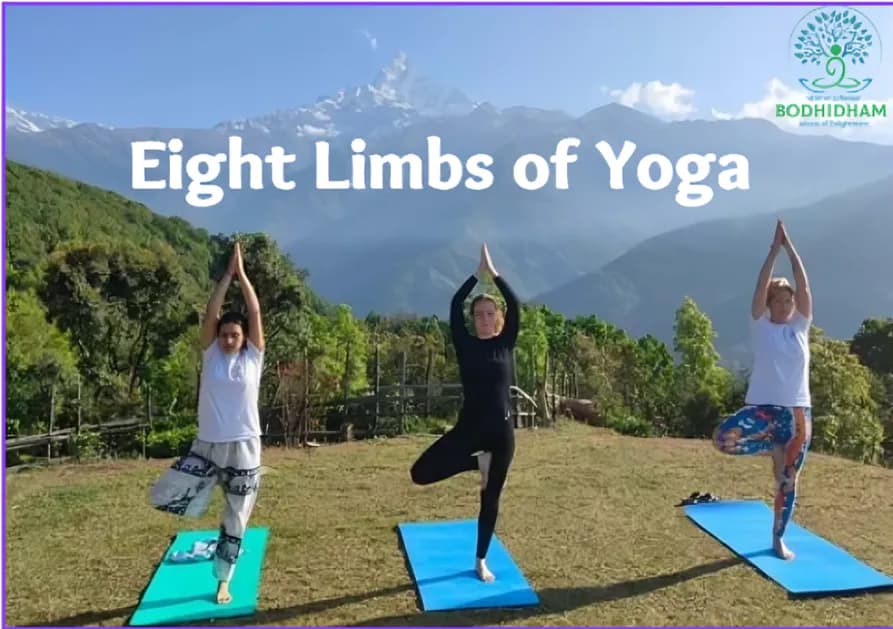 The Eight Limbs of Yoga: Patanjali's Complete Path Explained 