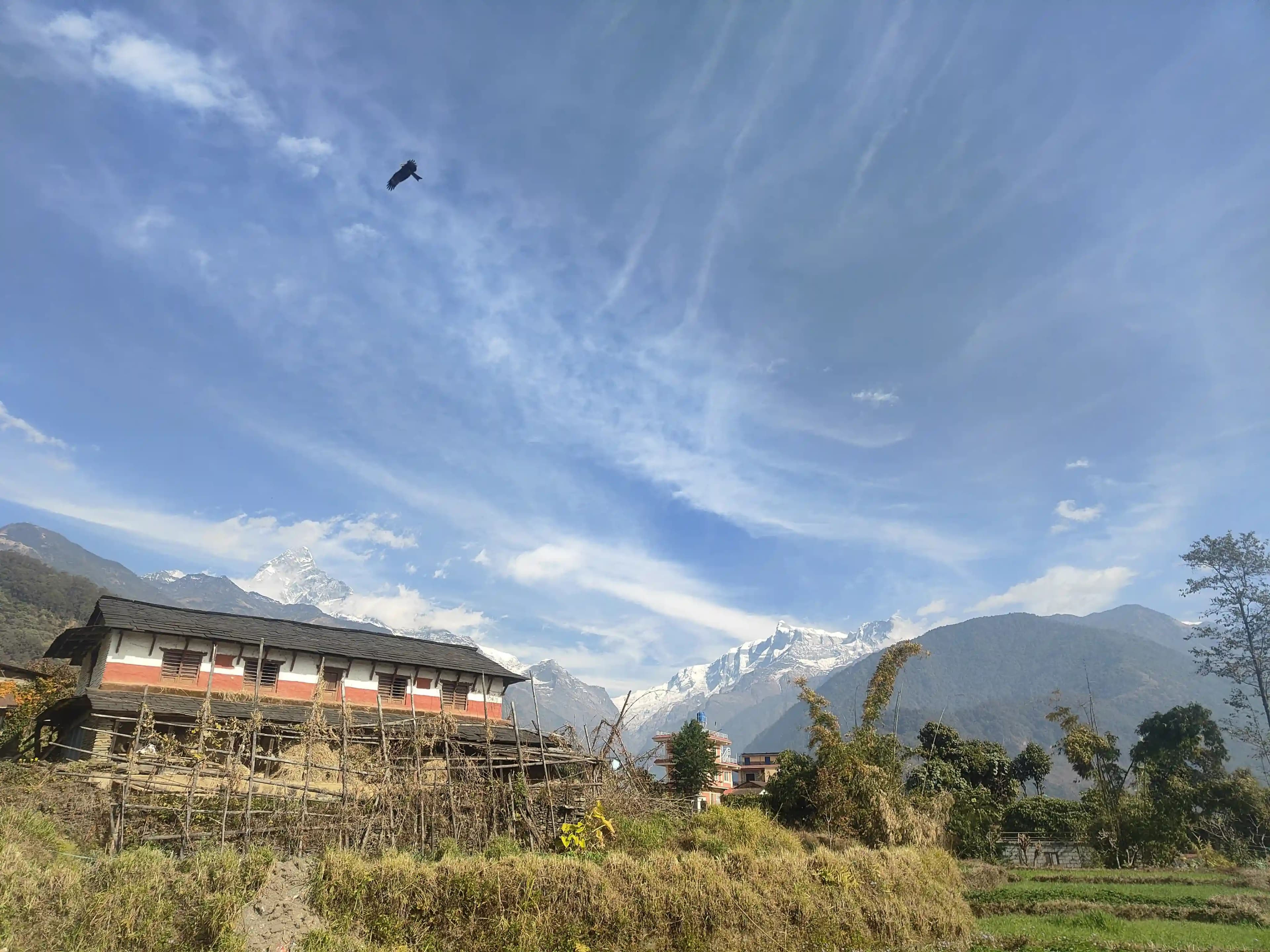 Ashram premises and